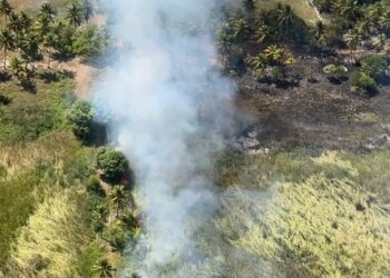 Incêndio atinge área de mata no Mosqueiro e mobiliza Corpo de Bombeiros